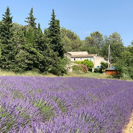 Maison Au Colorado Provencal Villa Rustrel Esterno foto