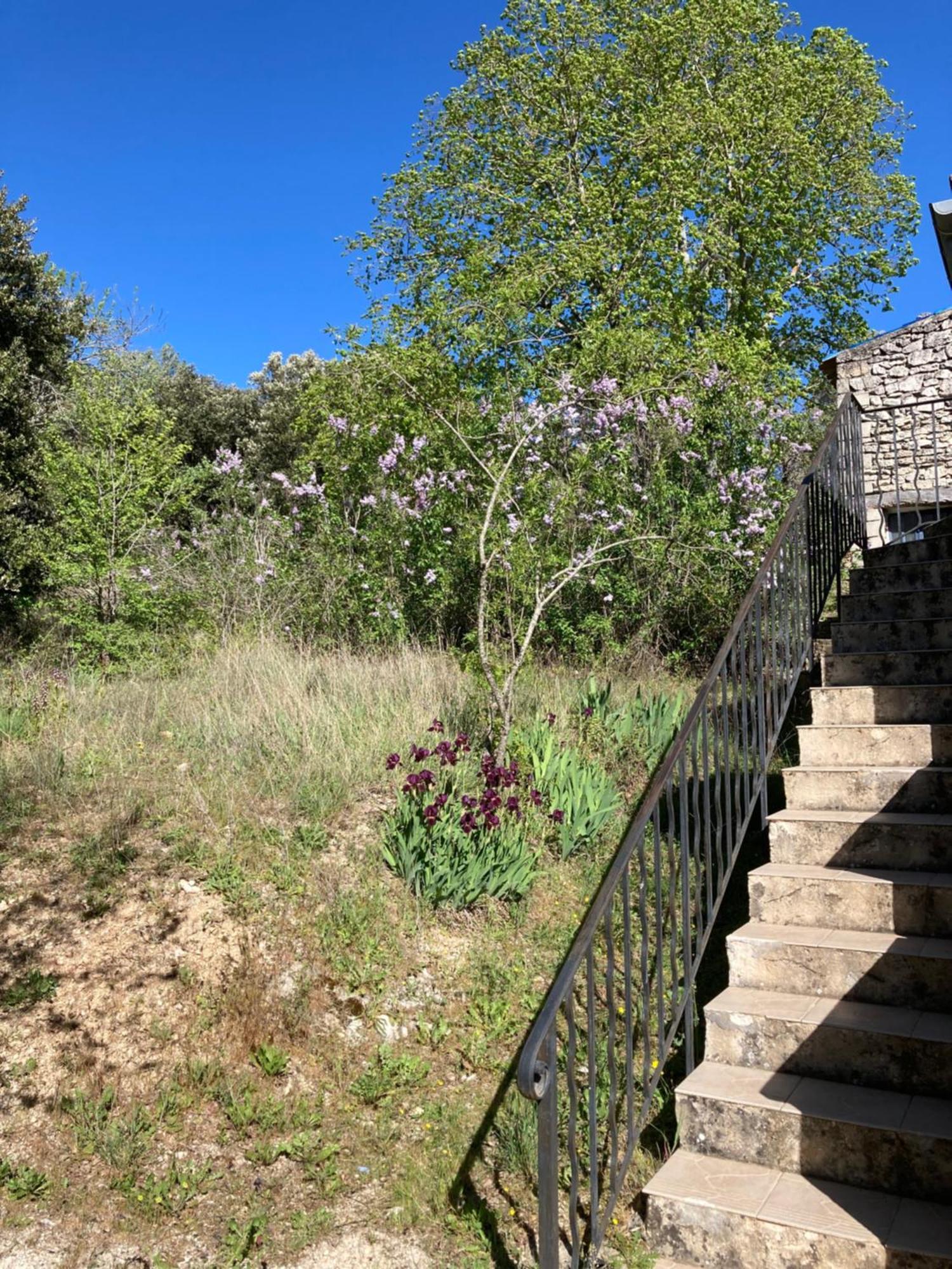 Maison Au Colorado Provencal Villa Rustrel Esterno foto