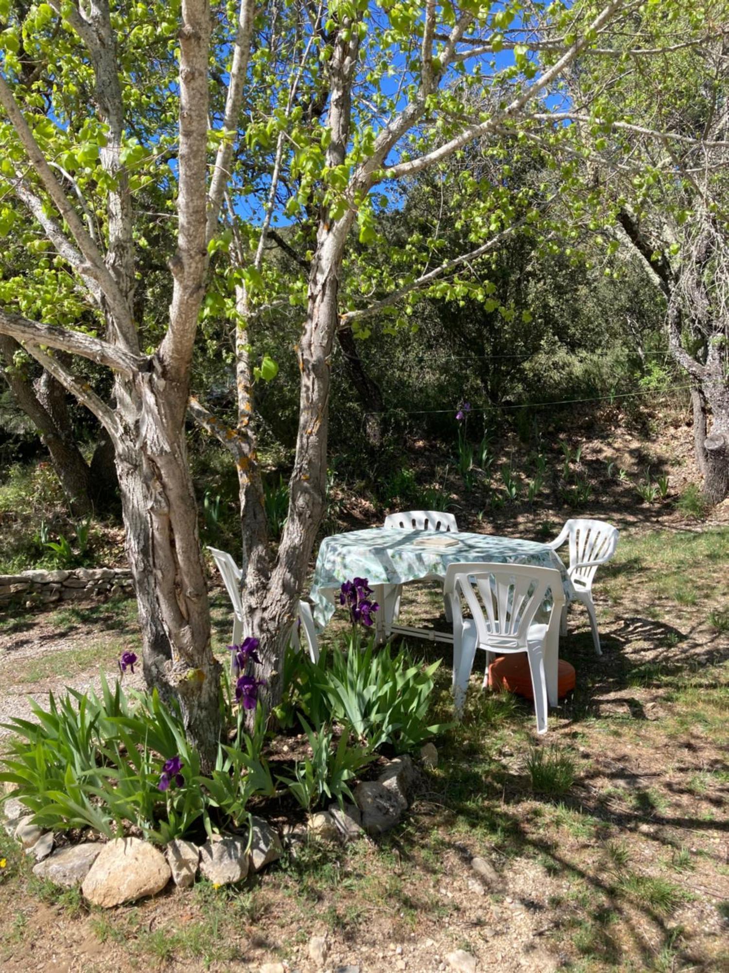 Maison Au Colorado Provencal Villa Rustrel Esterno foto