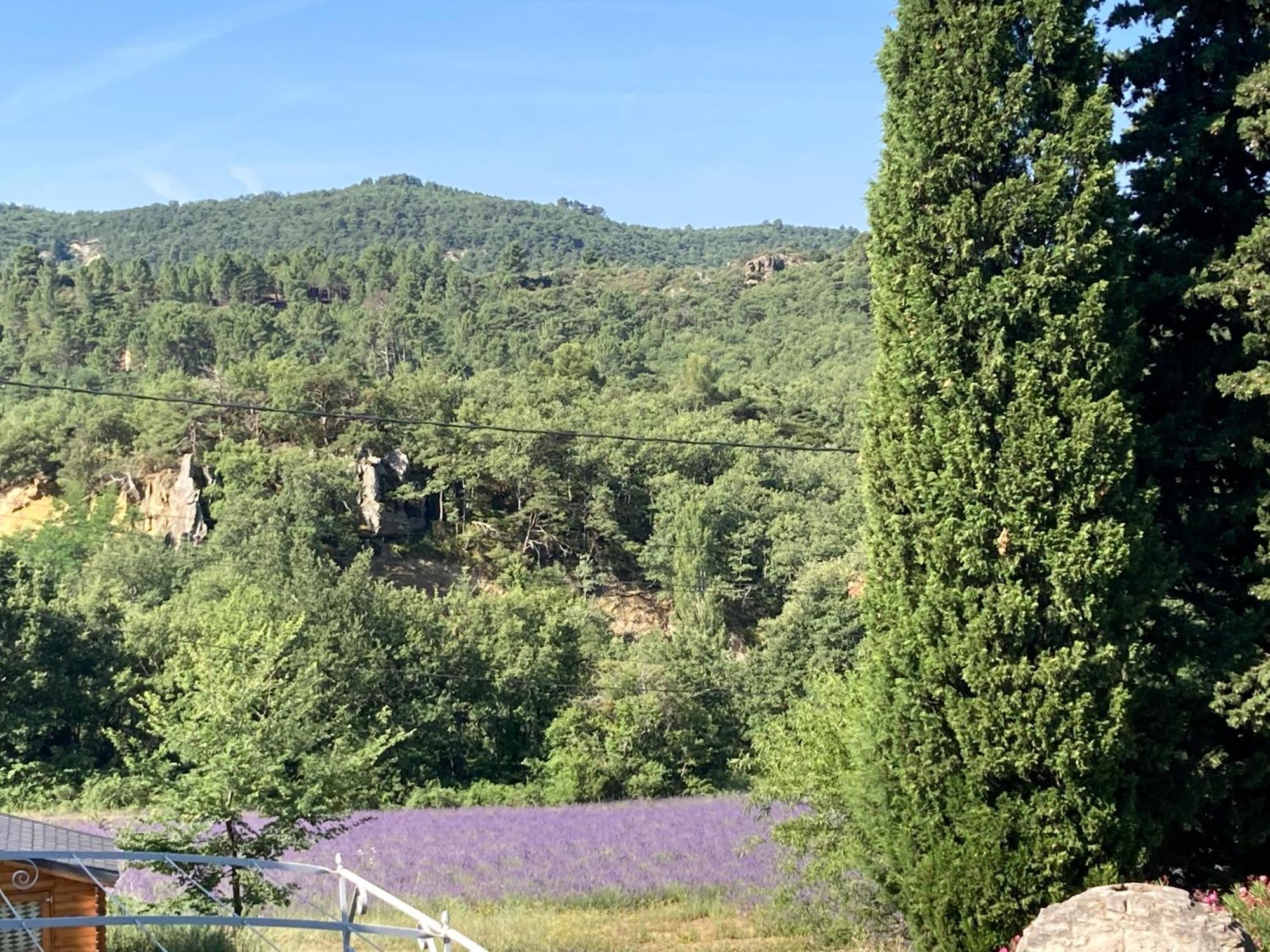 Maison Au Colorado Provencal Villa Rustrel Esterno foto