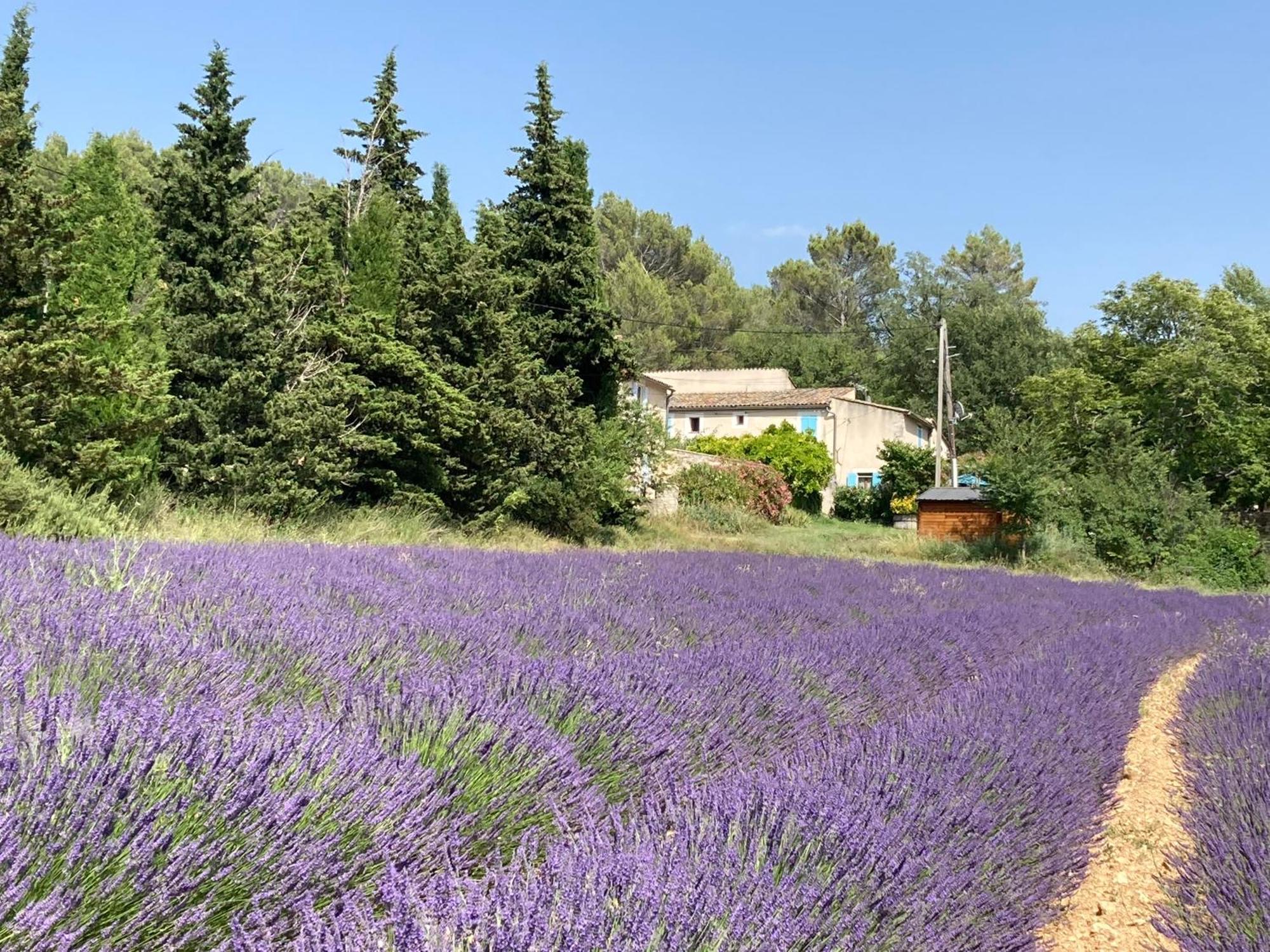 Maison Au Colorado Provencal Villa Rustrel Esterno foto